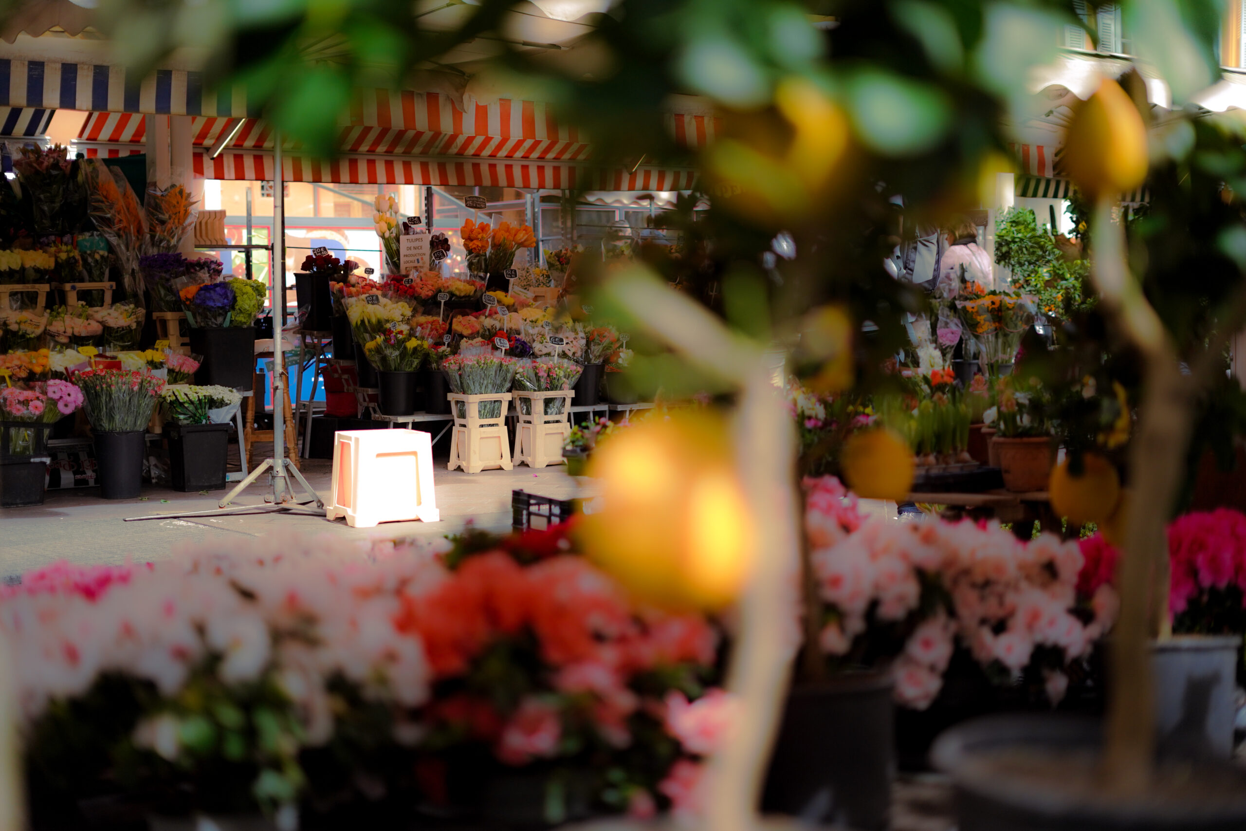 Cours Saleya Market - Ultimate Guide to Nice