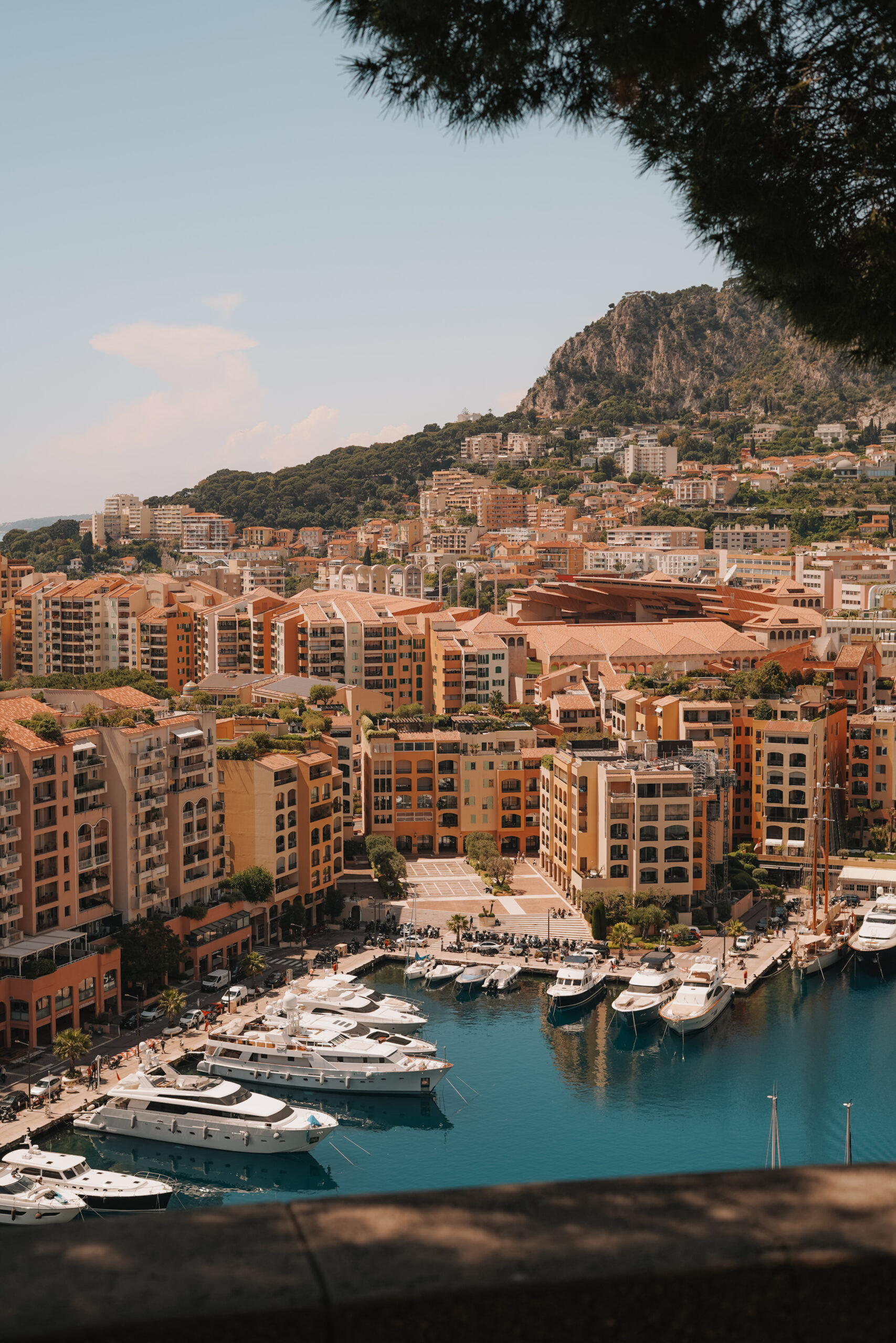 Fontvieille Port from Above - City Guide to Monaco