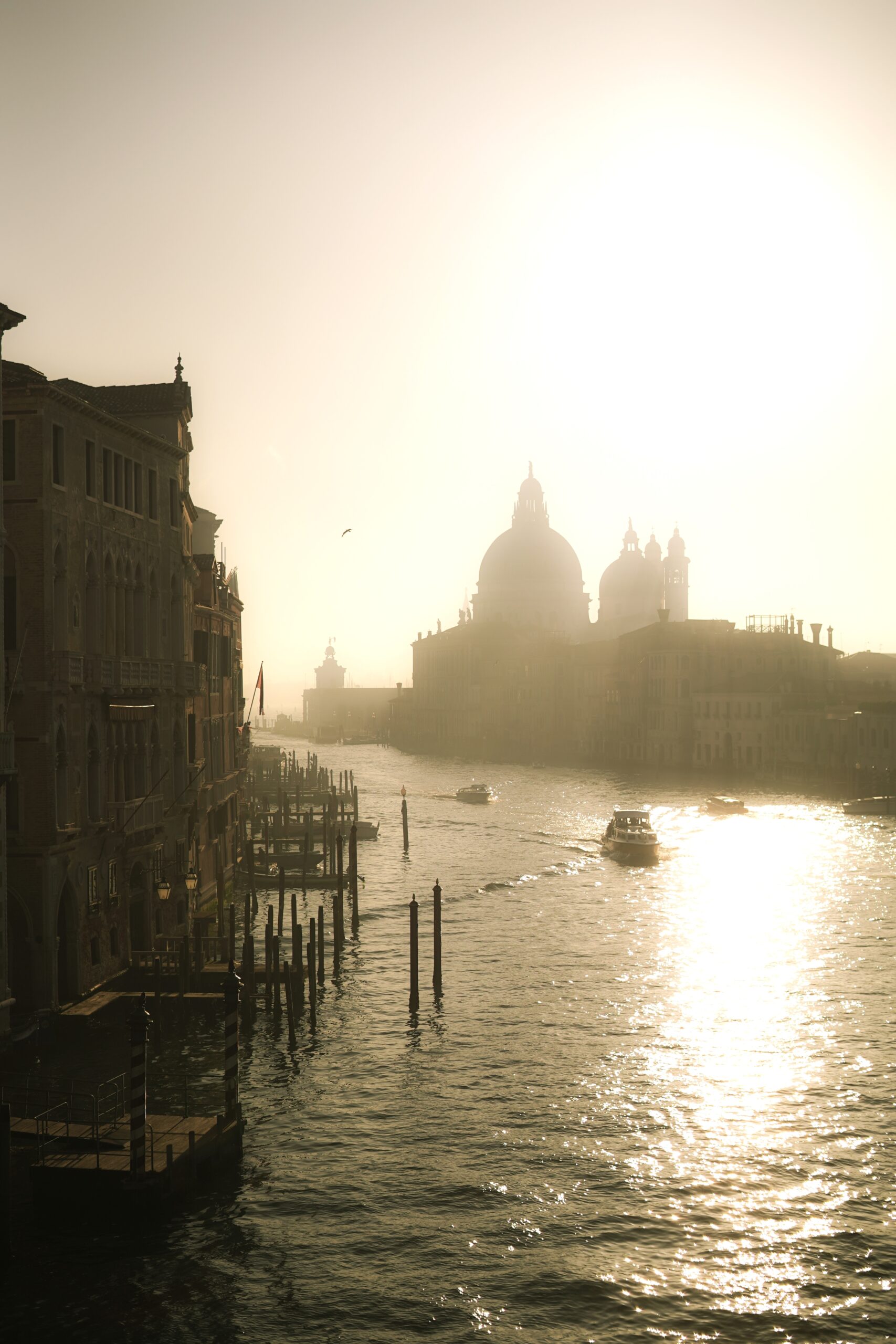 Ponte del Academia - Things to do in Venice