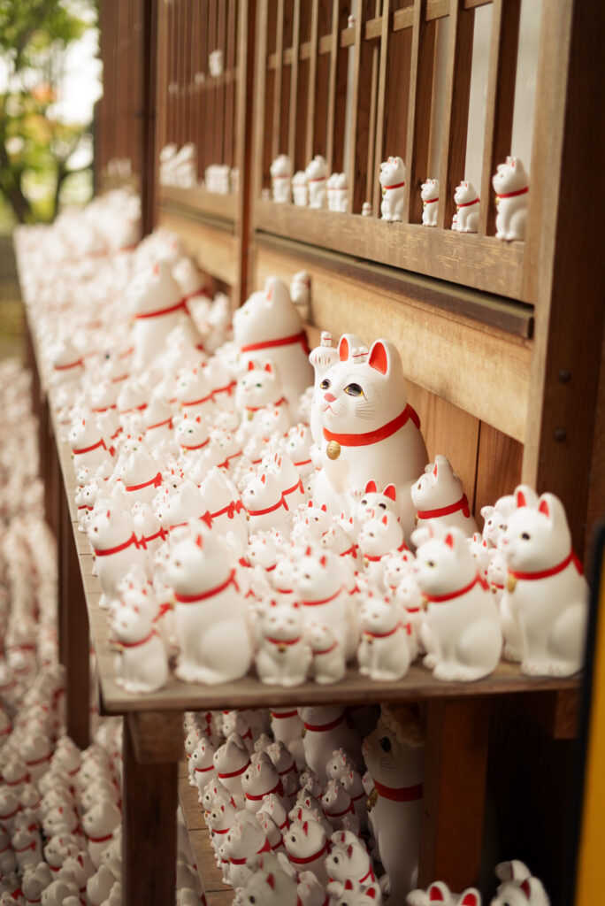 10 Unique Things for the Best Days in Tokyo GOTOKUJI TEMPLE - Cat Temple