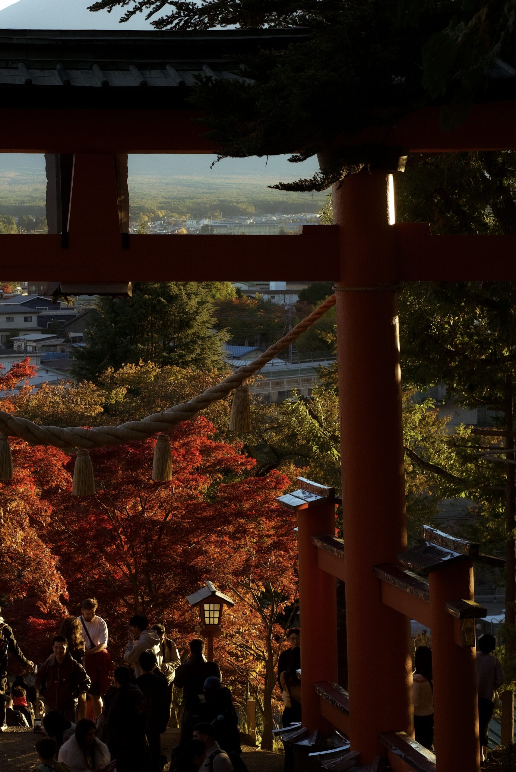 AUTUMN RED COLORS IN TOKYO