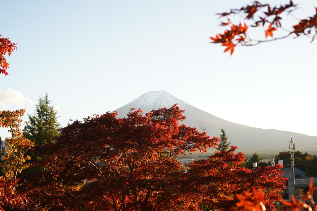 The Perfect Beautiful 24 Hours at Mount Fuji (2026)