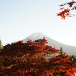 Mount Fuji in Autumn with red leaves