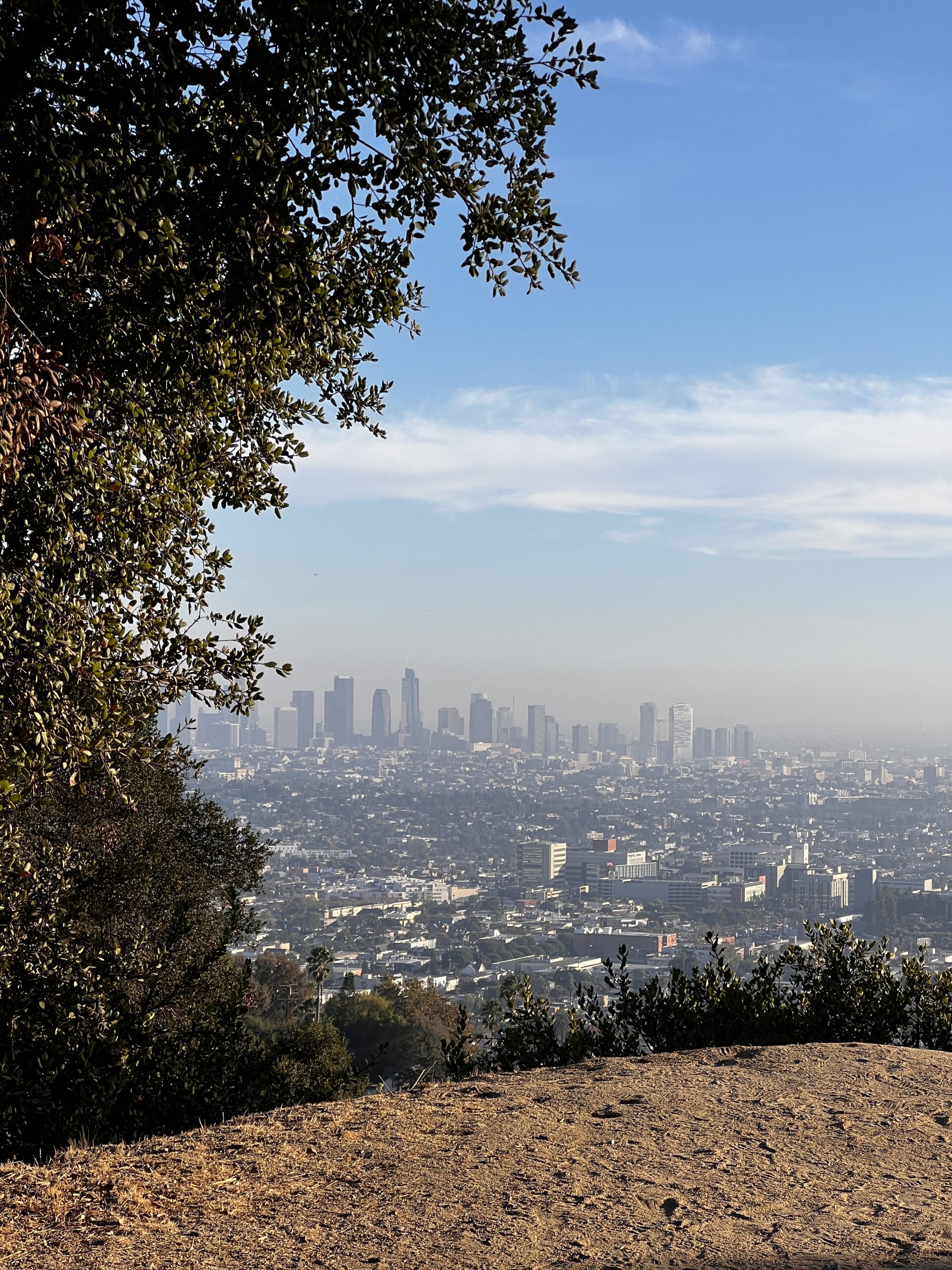 view of Los Angeles from Griffith Observatory