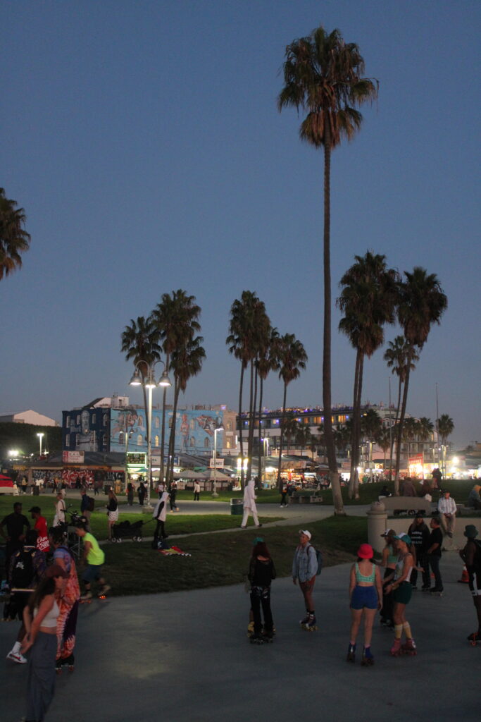 people skating in VENICE BEACH at night
