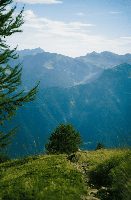 Parc du Mercanotur